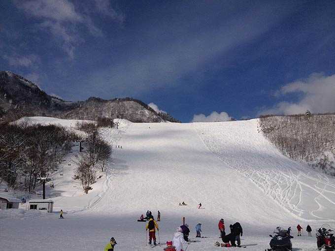 氷ノ山国際スキー場