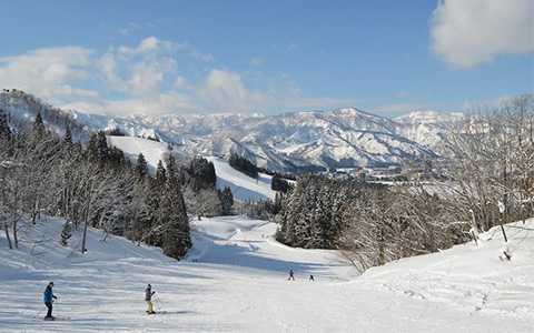 湯沢パークスキー場